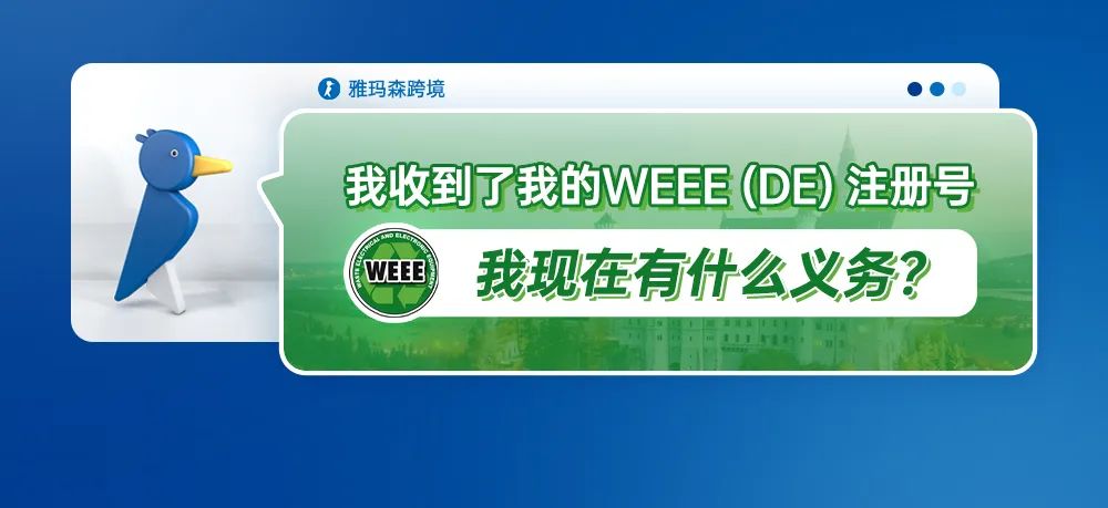 我收到了我的 WEEE (DE) 注册号。我现在有什么义务？